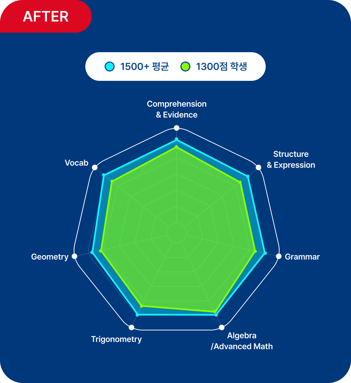 유형화 학습 후