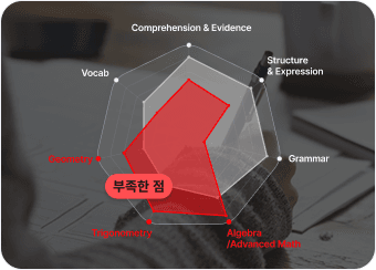 맞춤 처방